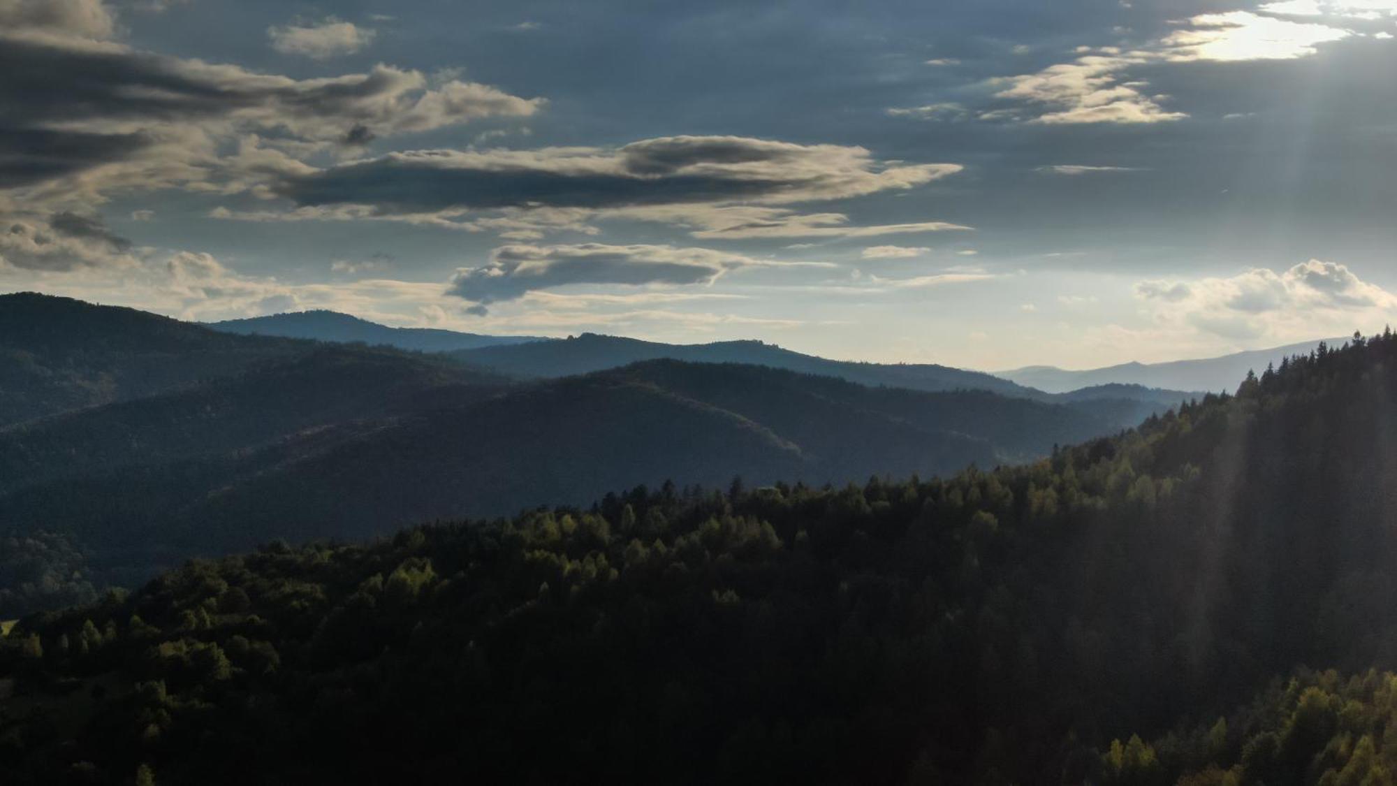 Stylowe Beskidy - Luksusowe Domki Z Saunami I Jacuzzi Appartement Mutne Buitenkant foto